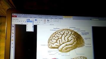 Hướng dẫn sử dụng foxit reader TNP