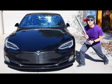 Bored Smashing - ANOTHER TESLA MODEL S