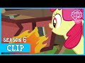 Working on The Crusader's Carts (The Cart Before The Ponies) | MLP: FiM [HD]