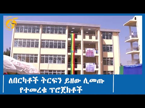 ለበርካቶች ትርፍን ይዘው ሊመጡ የተመረቁ ፕሮጀክቶች