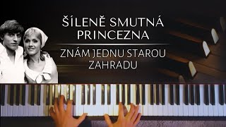 Znám jednu starou zahradu - Šíleně smnutná princezna (snadnější verze) + noty pro piano chords