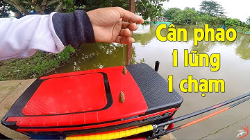 FISHING . HƯỚNG DẪN CÂN PHAO 1 LỮNG 1 CHẠM ĐÁNH HỒ ĐÁY BÙN.