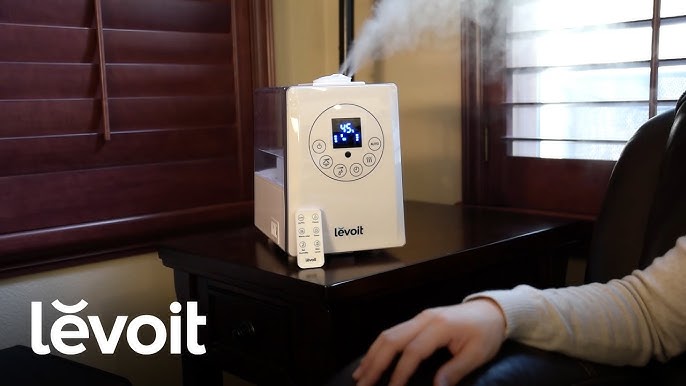 Levoit LV600HH 1.5-Gallons Tabletop Cool Mist/Warm Mist Humidifier (For  Rooms Up To 753-sq ft) in the Humidifiers department at
