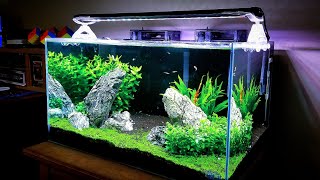 UPDATE:  New Fish for 20g Rimless