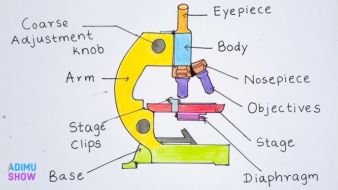 417 How to Draw a Magnifying Glass - Easy Drawing Tutorial 