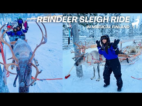 Reindeer Sleigh Ride