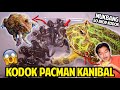 KODOK PACMAN KANIBAL! HABISIN 50 EKOR KODOK LAIN?! TEMEN MAKAN TEMEN! | PACMAN FROG VS 50 FROGS!!