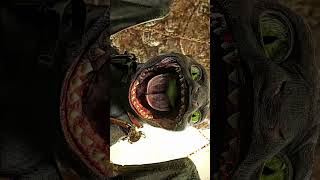 Quality Settings in Bio #nightfury #hiccup #howtotrainyourdragon #howtotrainyourdragonedit#edit #fyp