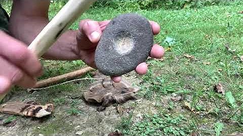 Reverse Twist 2 Ply Milkweed Cordage Bow Drill Friction Fire