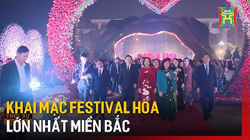 Khai mạc Festival hoa lớn nhất miền Bắc | Tin tức