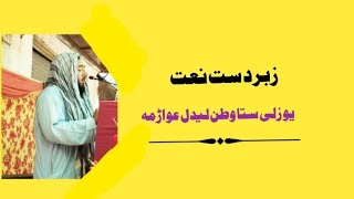یو زلی ستاوطن لیدل غواڑمہ۔۔۔خوبصورت نعت شریف۔۔۔Best Naat Sharif screenshot 5