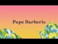 Pupe Barberis - 30 Años Después del Amor