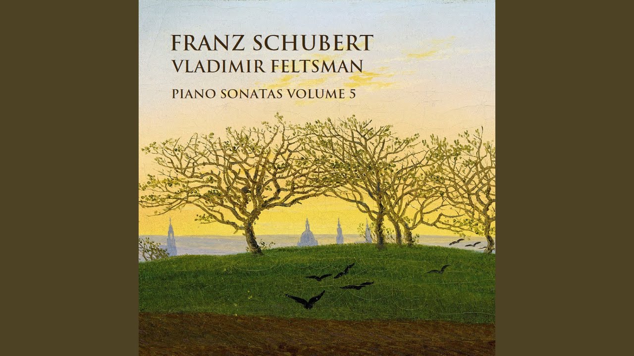 Sonata in B Major, D. 575: I. Allegro ma non troppo