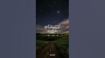 تلاوة هادئة من سورة الكهف 🤍 - يوم الجمعة #سورة_الكهف #يوم_الجمعة