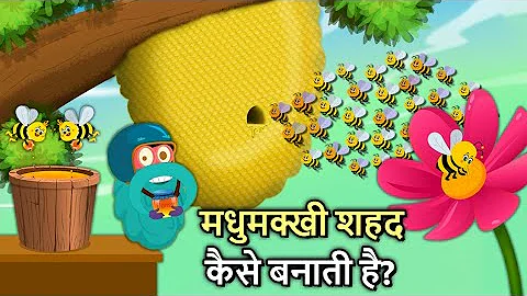 मधुमक्खी शहद कैसे बनाती है? | How Do Bees Make Honey In Hindi | Binocs Ki Duniya