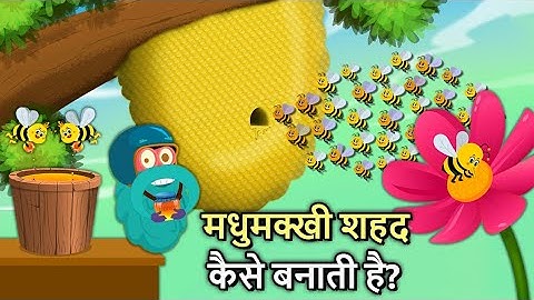 मधुमक्खी शहद कैसे बनाती है? | How Do Bees Make Honey In Hindi | Binocs Ki Duniya
