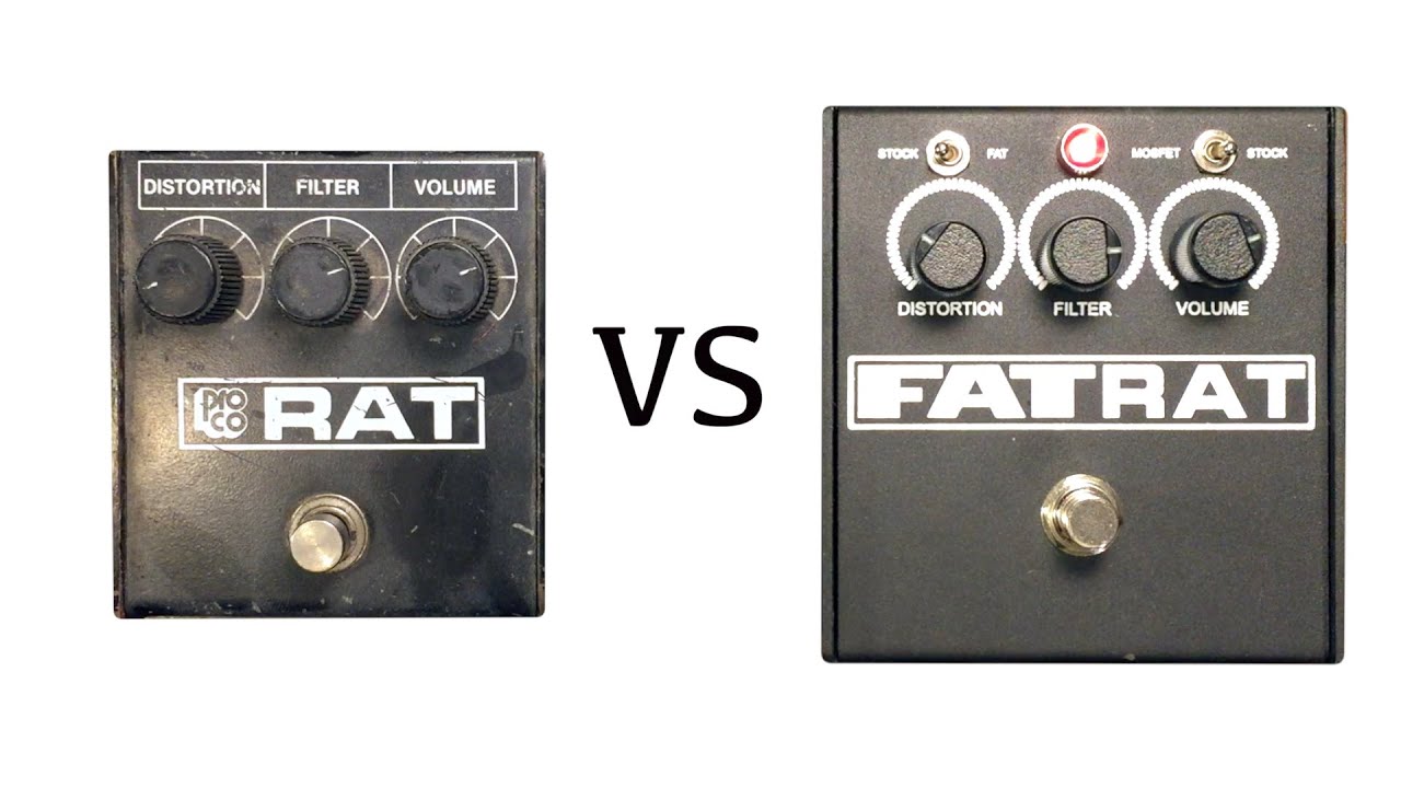 ＰＲＯＣＯ　　ＦＡＴ　ＲＡＴ