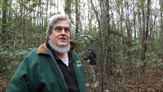 Monteith Battlefield Archaeology