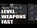 Level Your Weapons To 20 Fast!