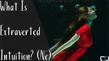 What Is Extraverted Intuition (Ne)? | Cognitive Functions | CS Joseph