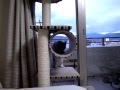 うちのキャットタワー（キャッティストライプタワーモダン）