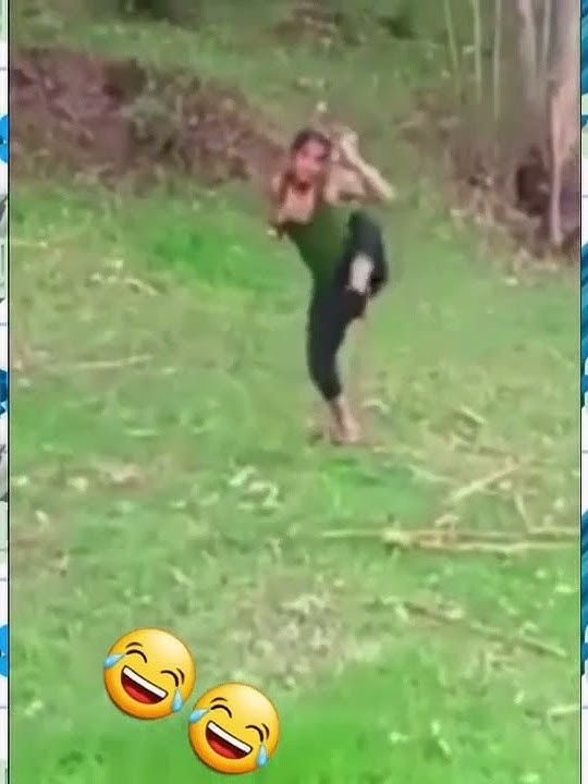 Story WA Lucu - Kesruduk domba