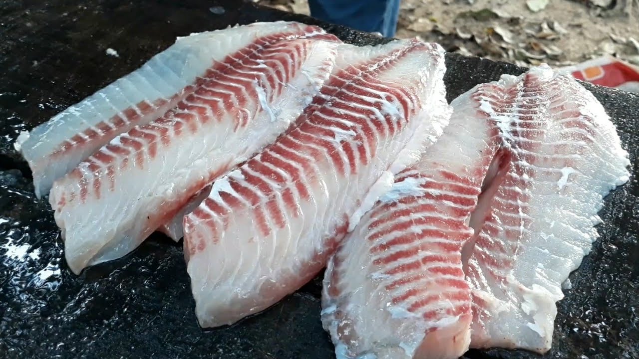 Como tirar filé de tilápia bem rápido