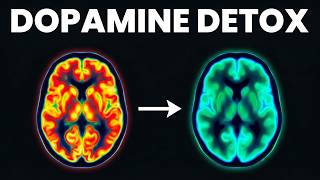 The Dopamine Detox That Made Me Love Discipline