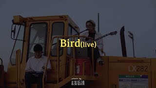 [Live] Wave to earth - Bird