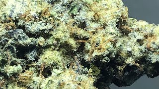 Mac and Cheese strain review