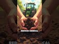 Turning Waste Into Wealth: SA's Circular Farming
