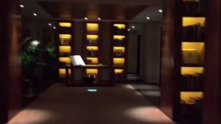 Day 5 Dinner At The Park Hyatt Tokyos New York Grill