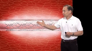 Robert S. Langer (MIT) Part 1: Advances in Controlled Drug Release Technology: An Overview thumbnail
