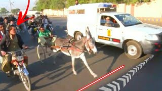 Karachi Donkey Race