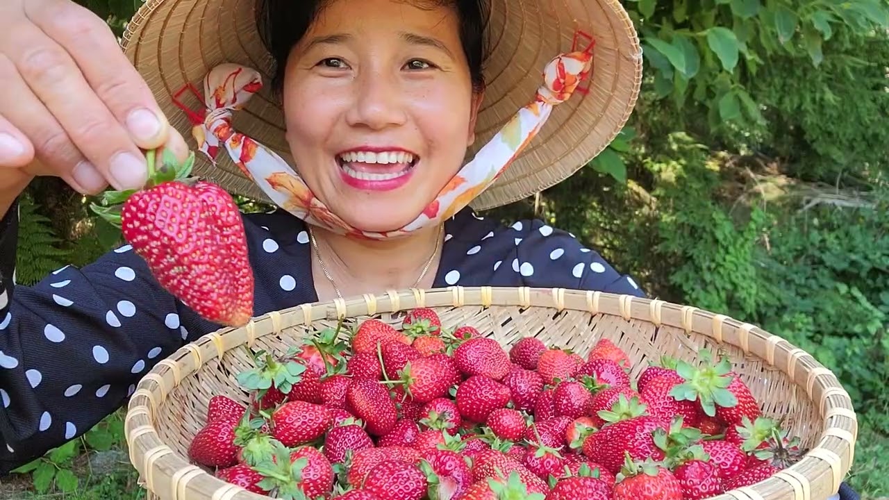 FULL VIDEO THU HOẠCH NGUYÊN RỔ DÂU TÂY CHÍN ĐỎ