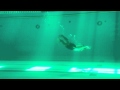 underwater swim #2