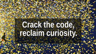 Boredom to Bucks: How Algorithms Trap Curiosity—And How to Break Free