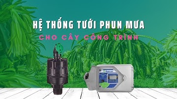 Hệ thống tưới phun mưa cho cây công trình | Nông nghiệp xanh