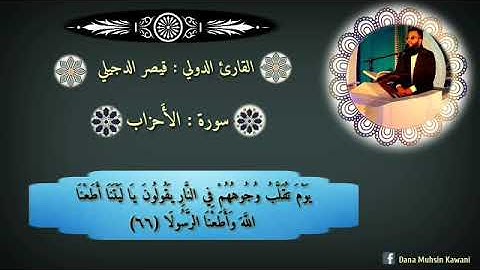 قرار واحساس جميل القارئ قيصر الدجيلي