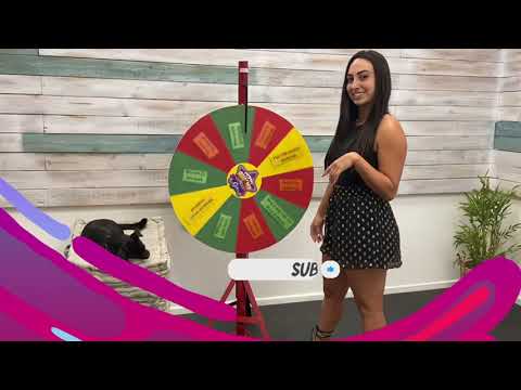 Gin rummy stars - Spin the wheel ep.1:Meet Amanda and Lucy