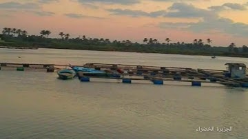 تلاوة خاشعة لما تيسر من سورة يس - القارئ صفوت قلموش .HD