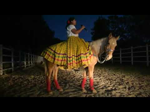 Golpes de pecho,(cover) Edith Aparicio, Compositor Felipe Jiménez