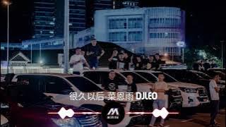 很久以后-蔡恩雨remix DjLeo [MIRI96] (only use in miri)