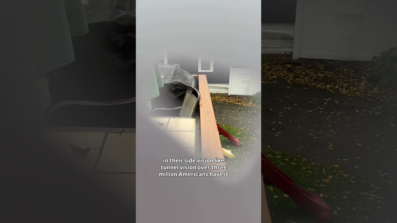 Слепота — это спектр — Моделирование зрения 