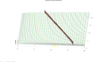 Lagrange Multiplier Method and Utility Maximization