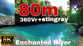 한국에서 3일을 이동하여 마법에 걸린 강 계곡에 도착 하였습니다 Enchanted River Stingray Explore Hinatuan Ph