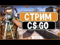 ОТ СИЛЬВЕРА ДО ГЛОБАЛА. СТРИМ VS GO. ПРЯМОЙ ЭФИР. СТРИМ ОНЛАЙН. СТРИМ ПРАЧАК.