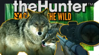 Big DIAMOND Moose & DOUBLE RARE Pigs | TheHunter: Call of the Wild
