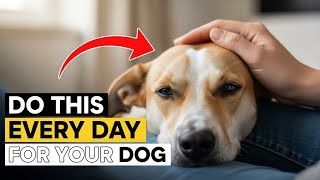 9 Things You Rarely Do for Your Dog (But Should Every Day)