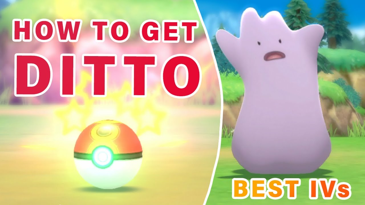 Where to Catch Ditto with BEST IVs ▻ Pokemon Brilliant Diamond